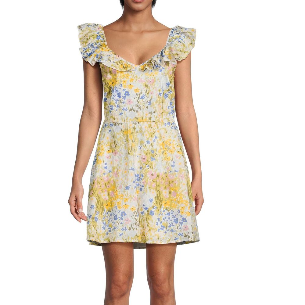 Wildfox Blair Deep V Ruffle Mini Dress  Painted Flower Field, Medium (B3)